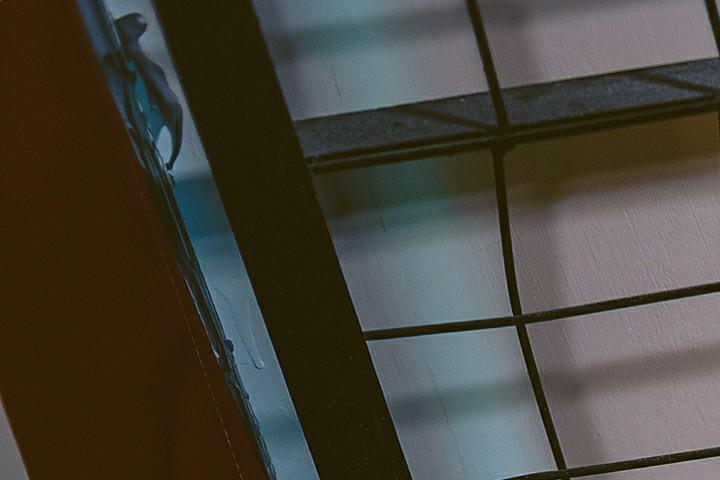 How Sex With Dol Will Shape Our Lives